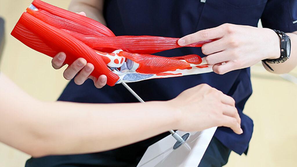 世田谷区野球肘外来