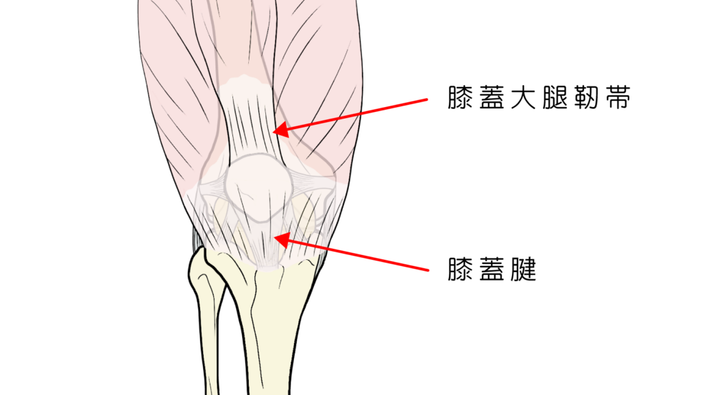 世田谷区ジャンパー膝外来